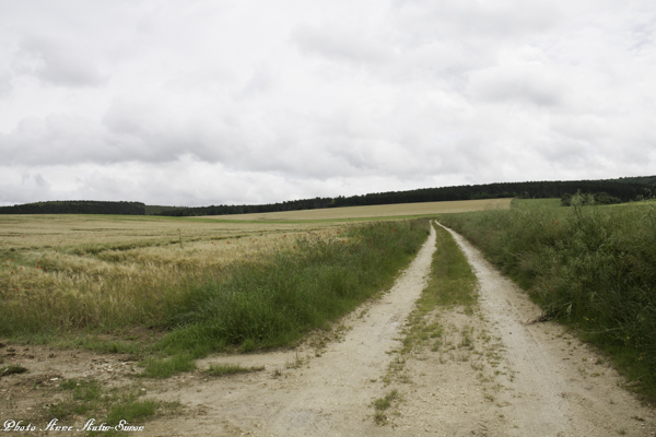 Secteur ferme "La Folie"